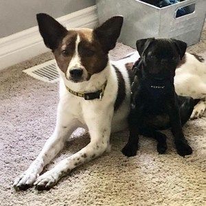 Meet your Posher, Heather